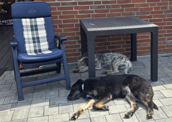 Hannes und Lula