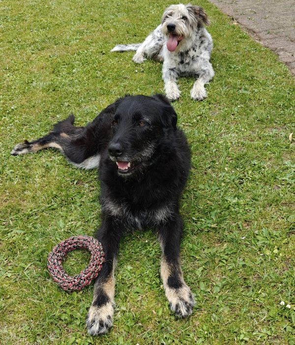 Hannes und Lula