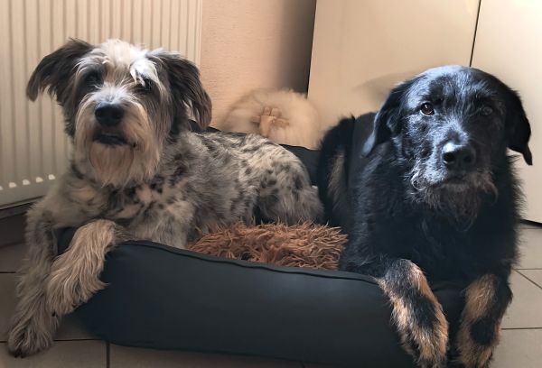 Hannes und Lula