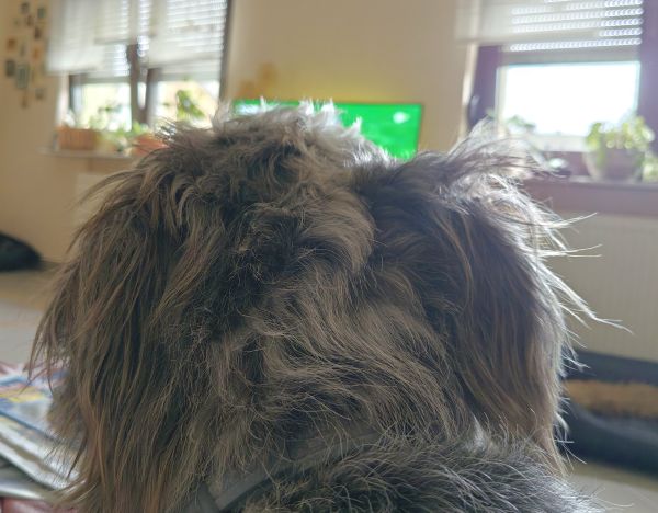Hannes und Lula