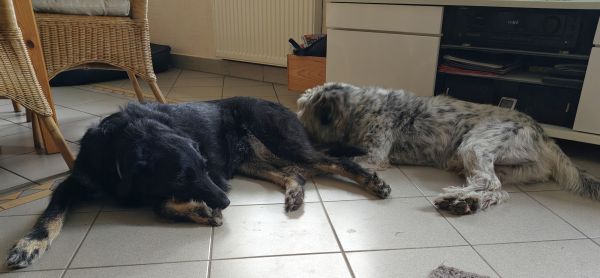 Hannes und Lula