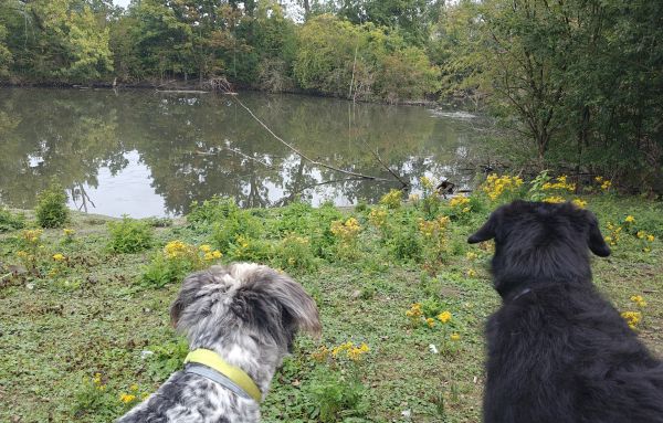 Hannes und Lula