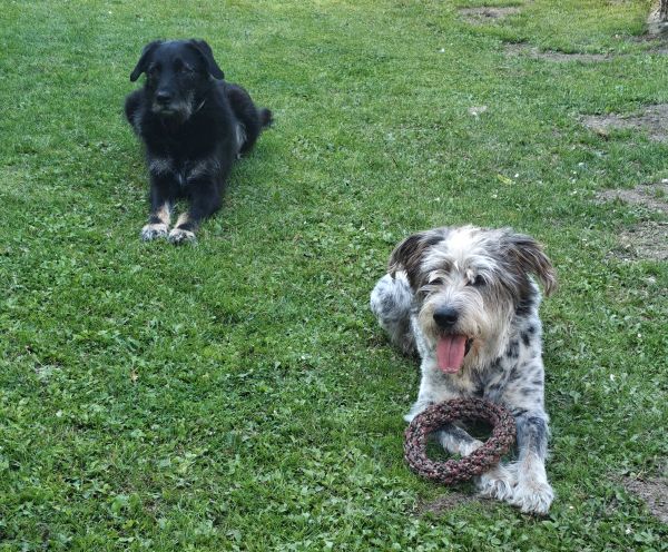 Hannes und Lula