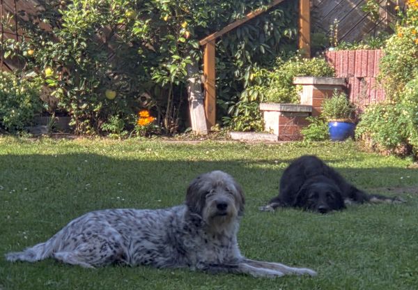 Hannes und Lula