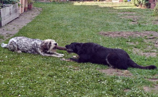 Hannes und Lula