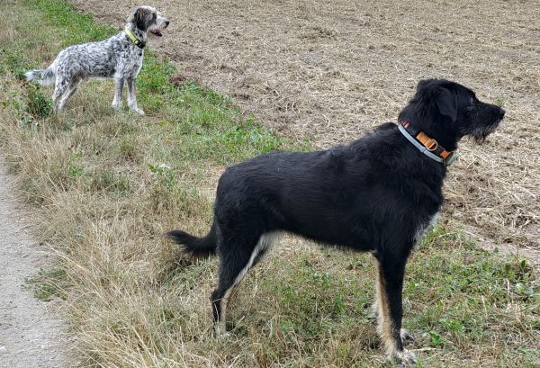 Hannes und Lula