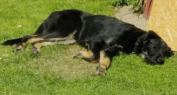 Hannes und Lula