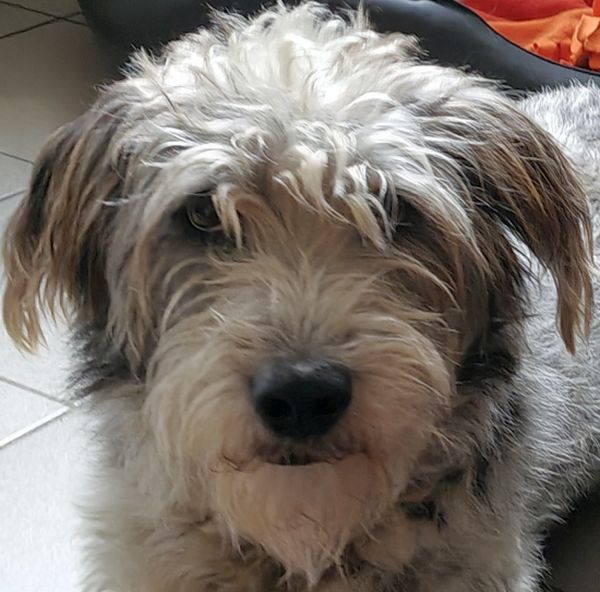 Geschichten von Hannes und Lula