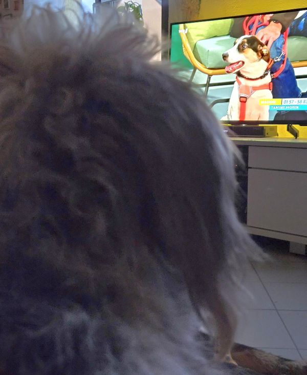 Geschichten von Hannes und Lula