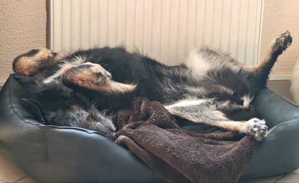 Geschichten von Hannes und Lula