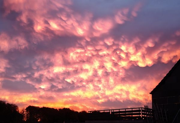 Geschichten von Hannes und Lula