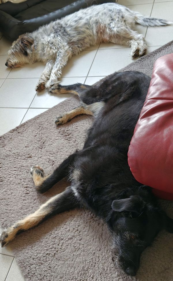 Geschichten von Hannes und Lula