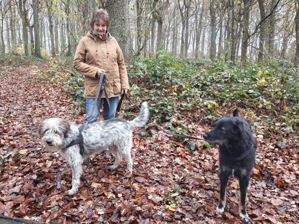 Geschichten von Hannes und Lula