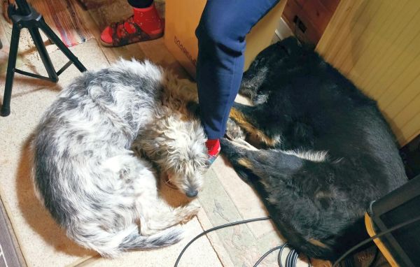 Geschichten von Hannes und Lula