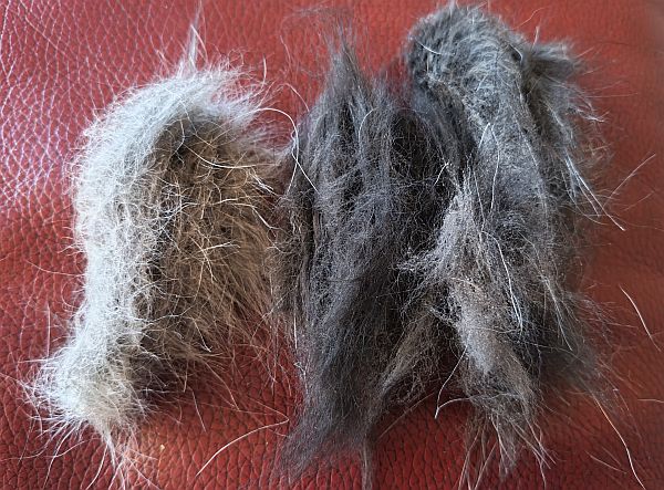 Geschichten von Hannes und Lula