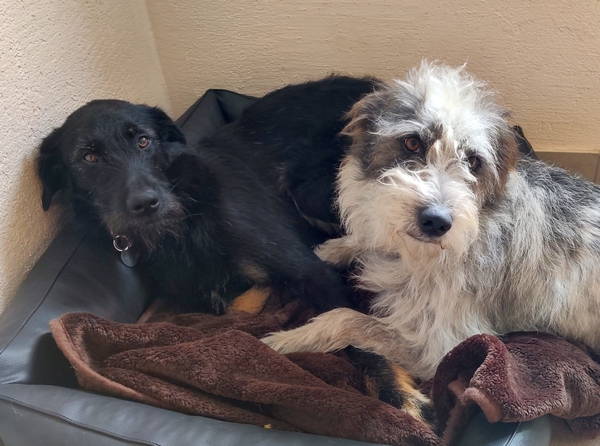 Hannes und Lula
