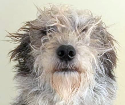 Fotografin; Birgit R.