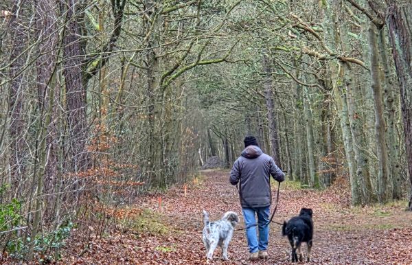Hannes und Lula auf Texel