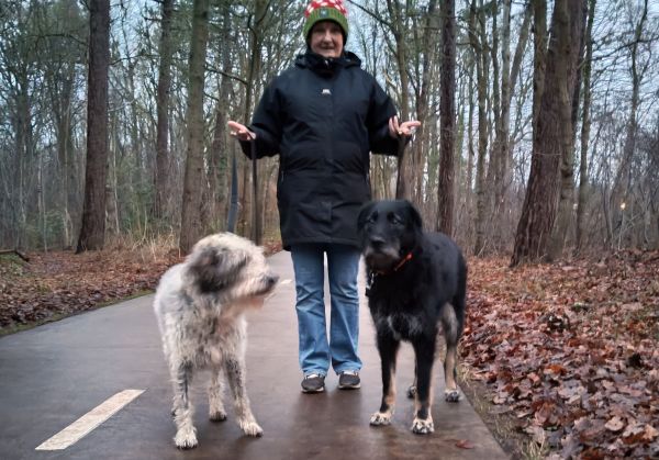 Hannes und Lula auf Texel