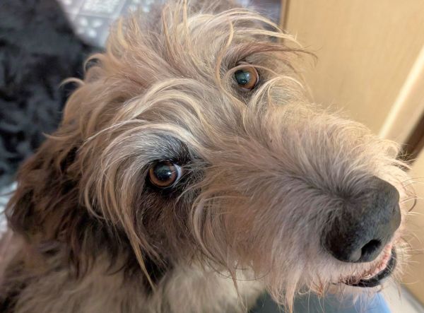 Fotografin: Roswitha