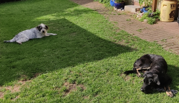 Hannes und Lula