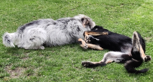 Hannes und Lula