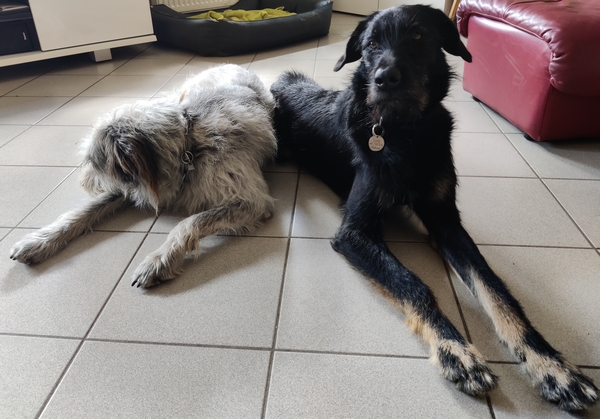 Hannes und Lula