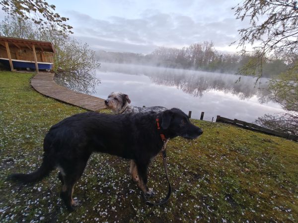 Hannes und Lula