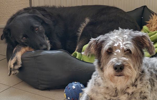 Hannes und Lula