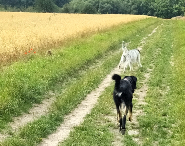 Hannes und Lula