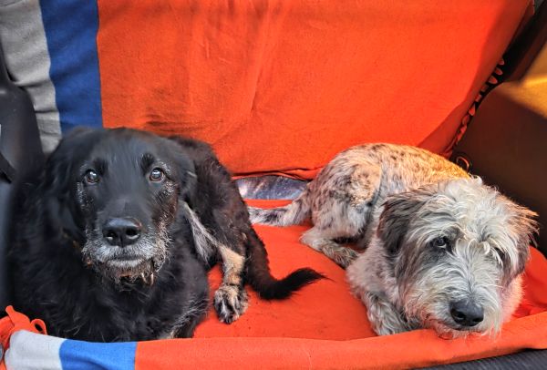 Hannes und Lula