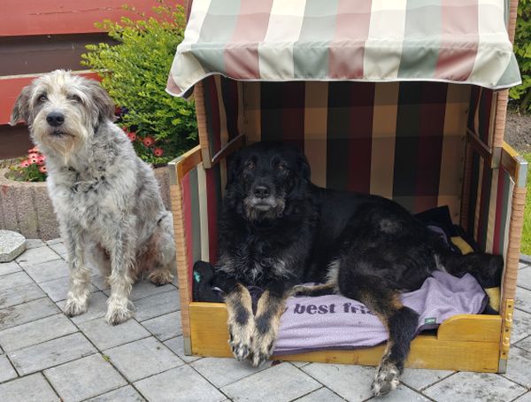Hannes und Lula