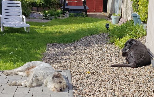 Hannes und Lula