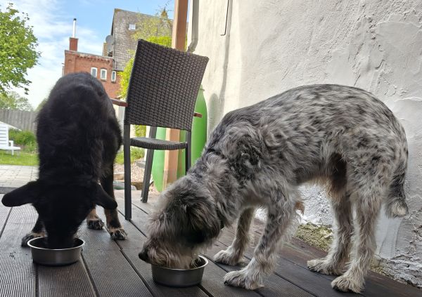 Hannes und Lula