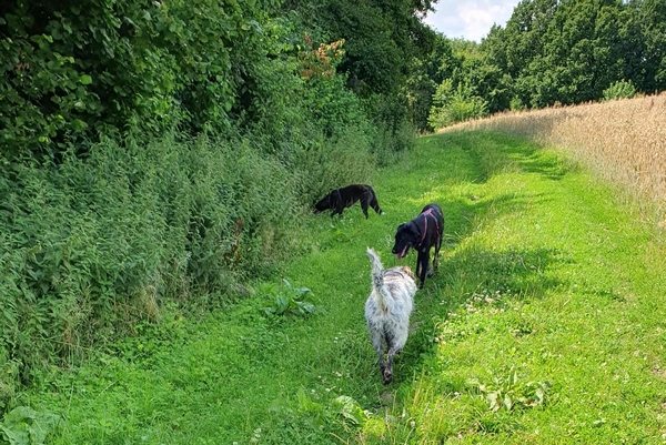 Hannes und Lula