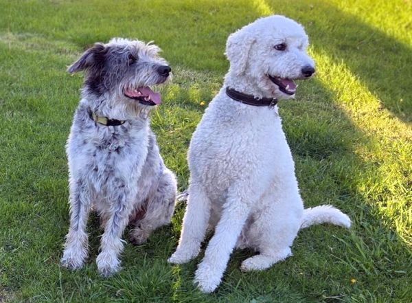 Hannes und Lula