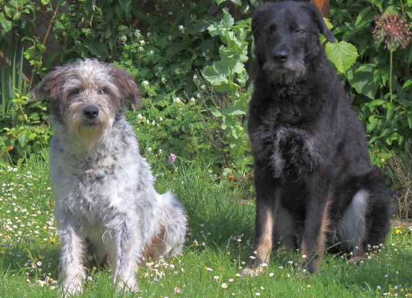 Hannes und Lula Hannes und Lula
