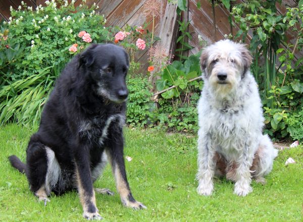 Hannes und Lula