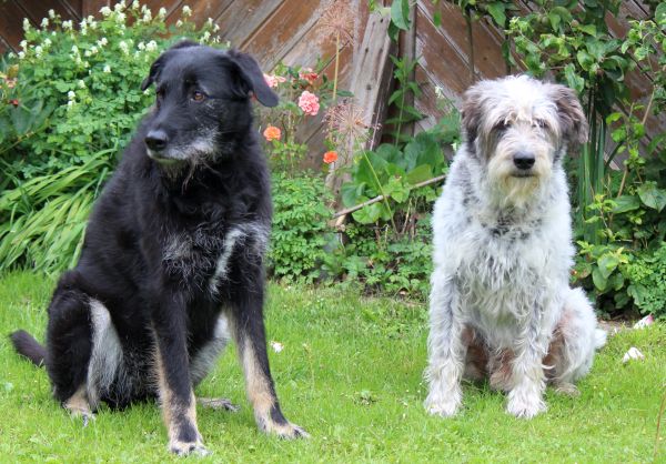 Hannes und Lula