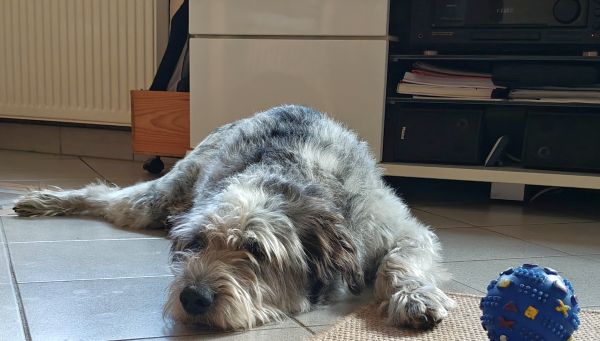 Hannes und Lula