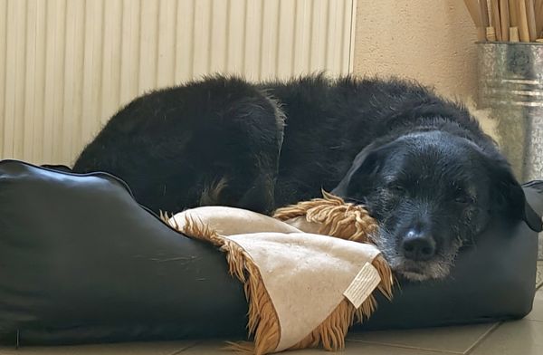 Hannes und Lula