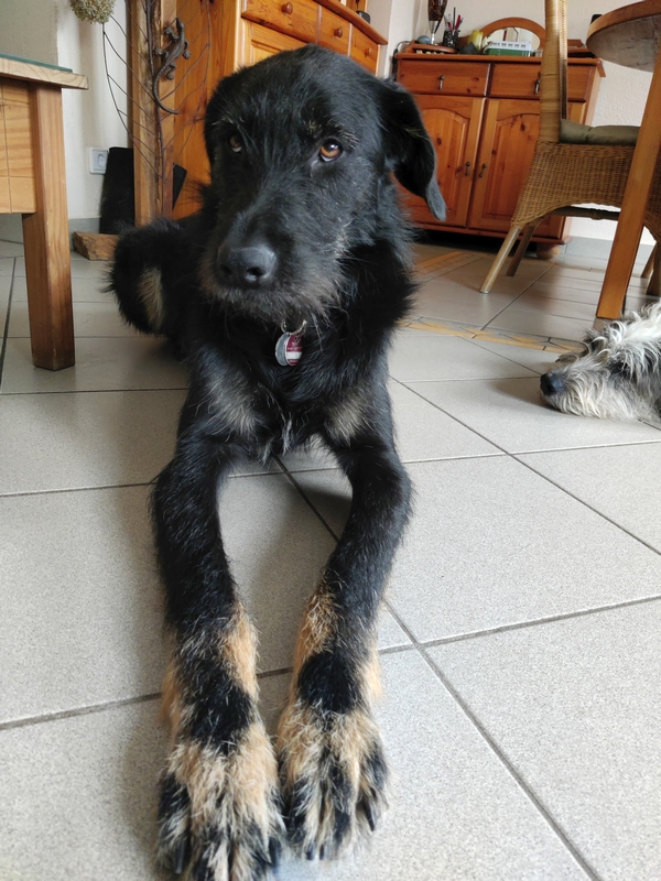 Hannes und Lula