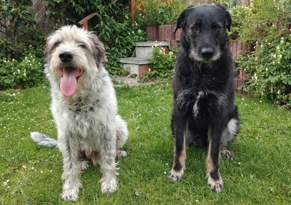 Hannes und Lula Hannes und Lula