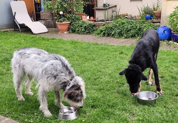 Hannes und Lula
