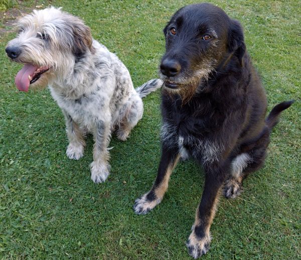 Hannes und/oder Lula
