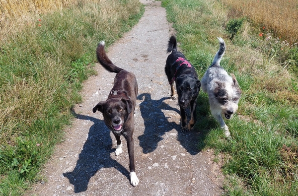 Hannes und Lula