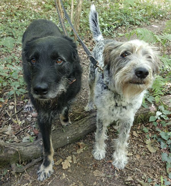 Hannes und/oder Lula