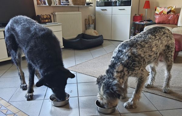 Hannes und/oder Lula