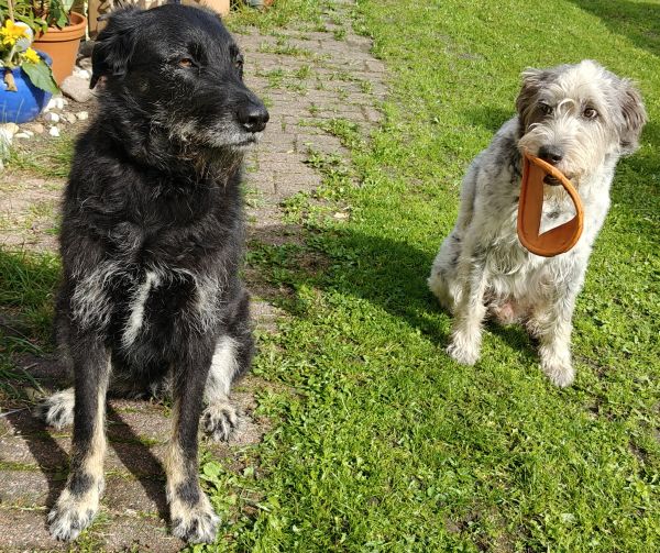 Hannes und/oder Lula