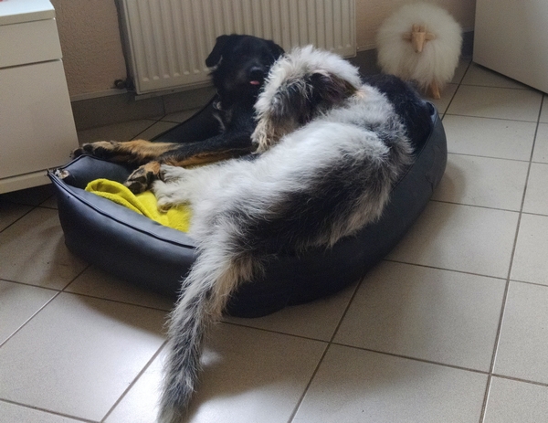Hannes und Lula